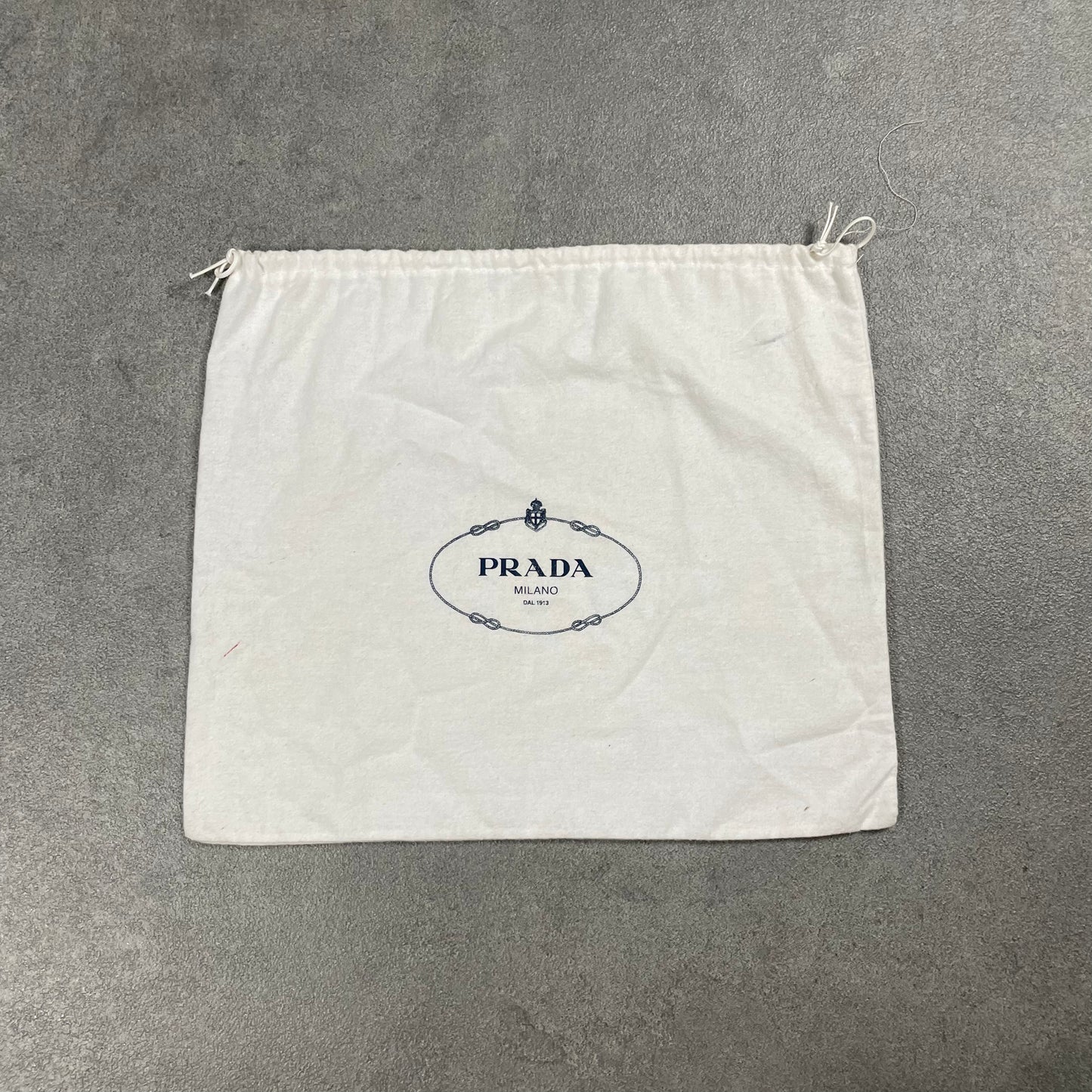 Prada Sidebag